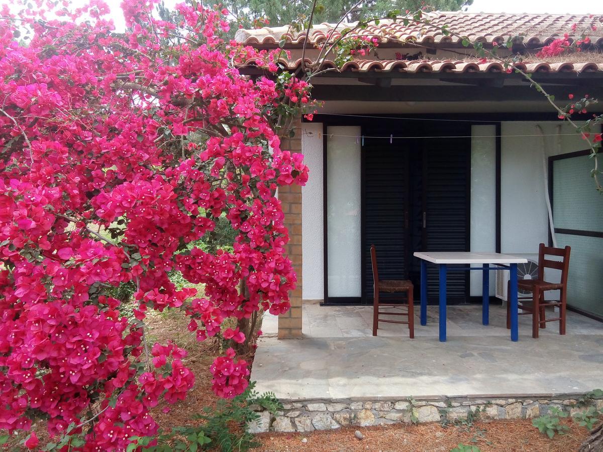 Hotel Dougas Arkoudi Exterior photo